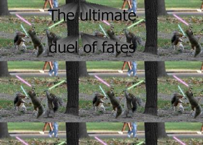 Star Wars Duel...of the Squirrels