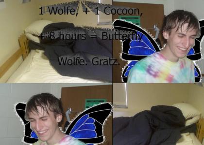 Cocoon Wolfe