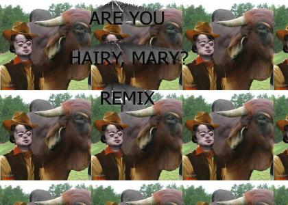 are you hairy mary REMIX