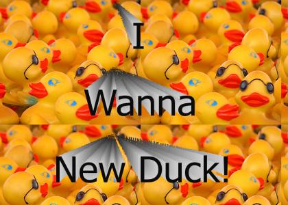New ducks baby