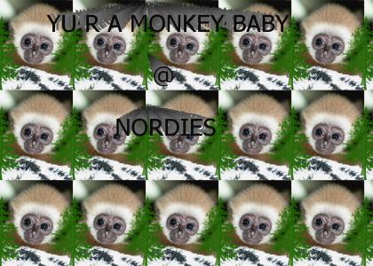 monkey baby's