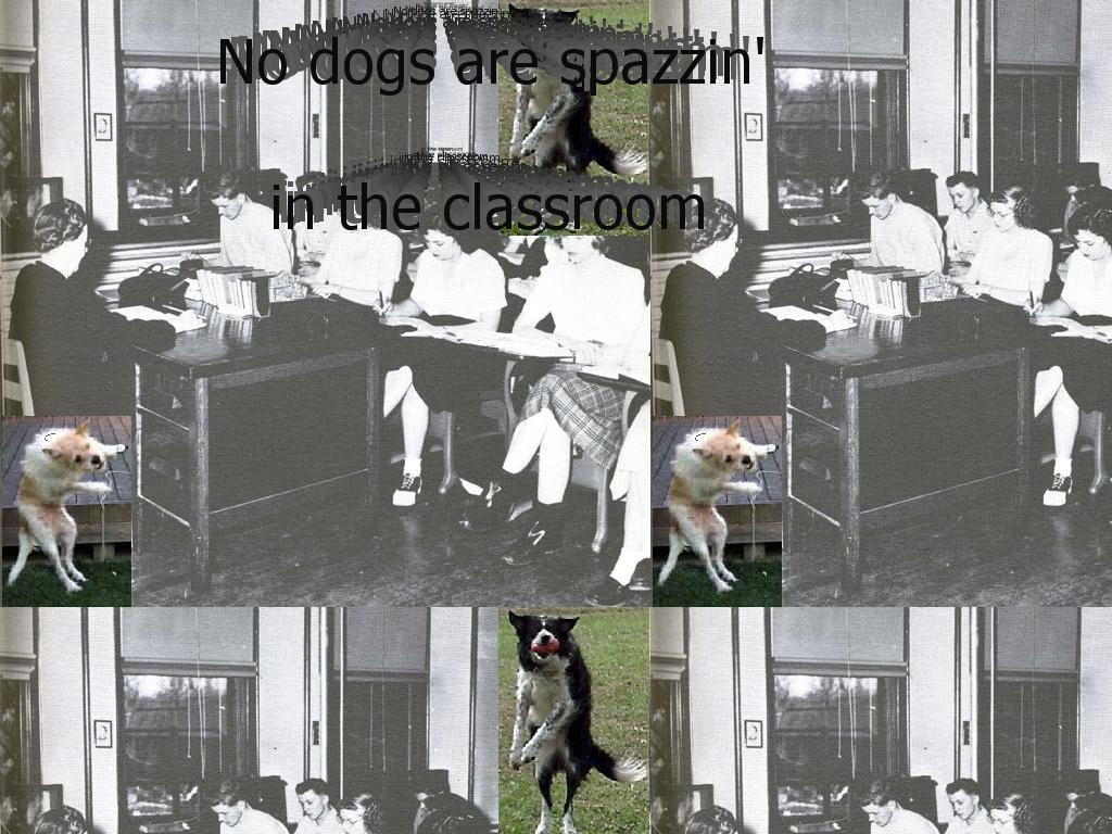 dogspaz