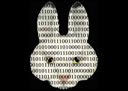 Binary Rabbit