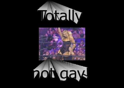 Wrestling is not at all gay