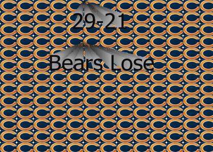 The Bears Lost