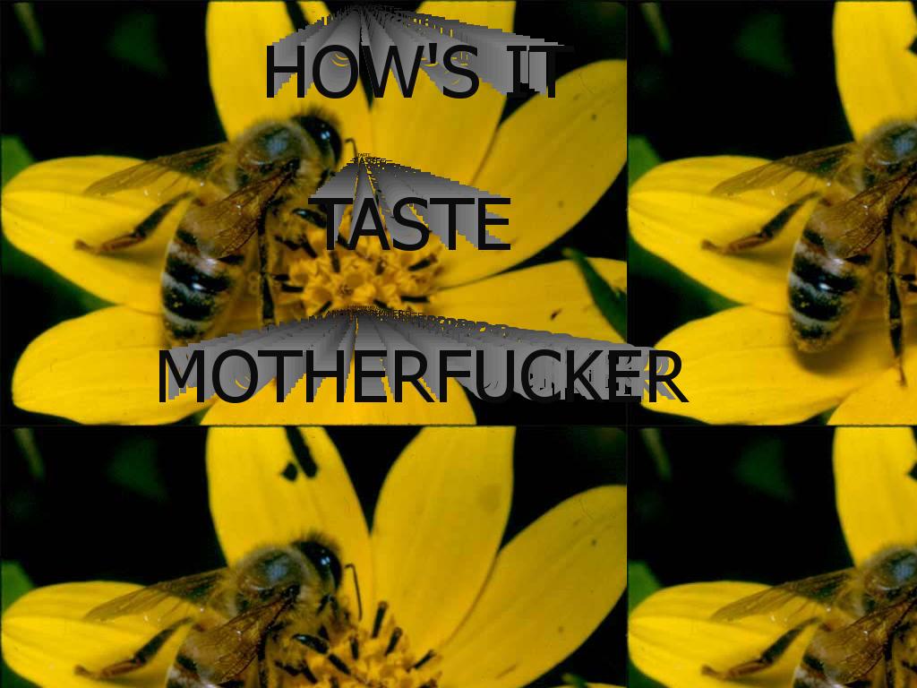 howsittastebee