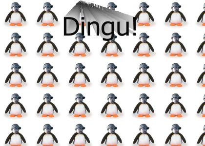 Dingu