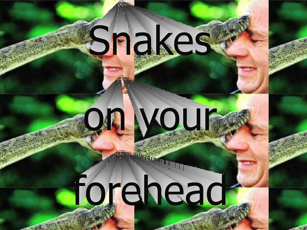 Snakesonyourhead