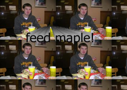 feedmaple