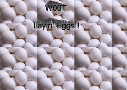 W00T Layin' Eggs!!