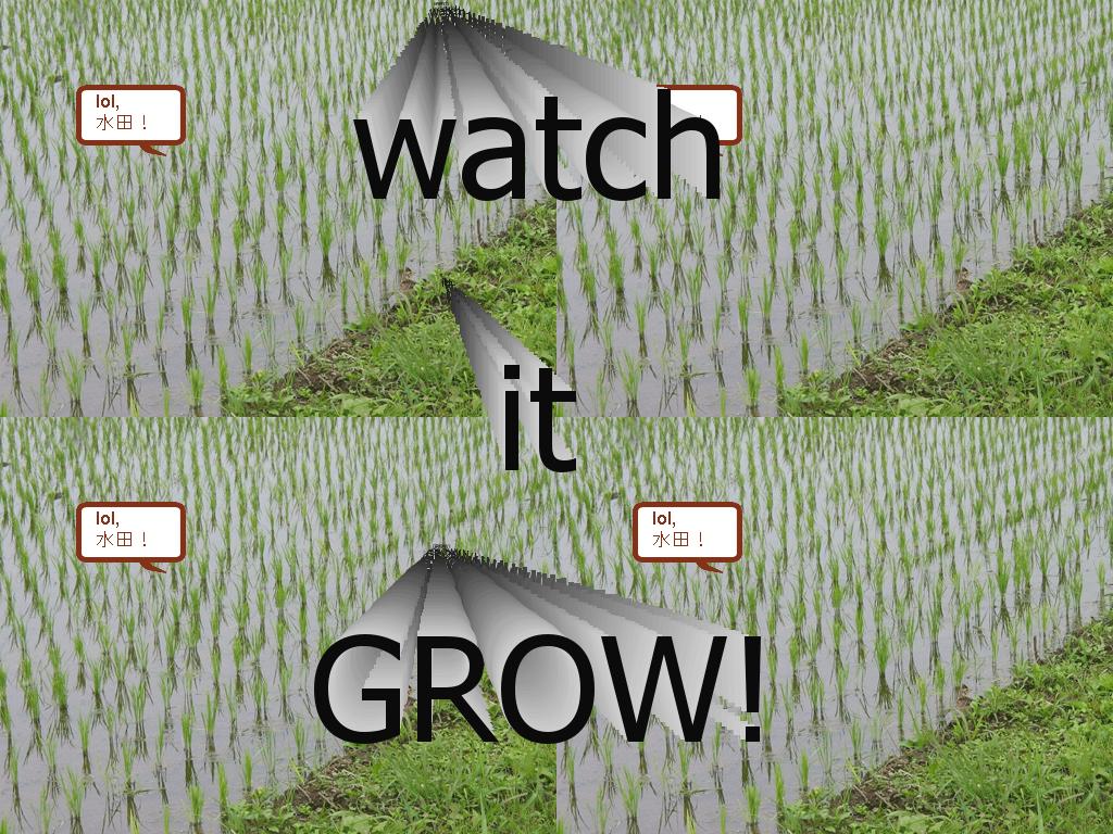 growgrow