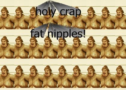 fat nipples