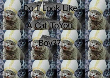 Do I Look Like a Cat To You Boy?