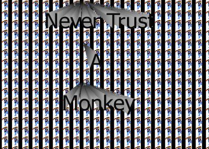 Braks monkey