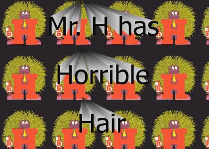 Mr. H has Horrible Hair