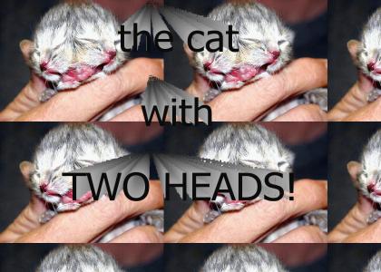 THE CAT WITH TWO HEADS