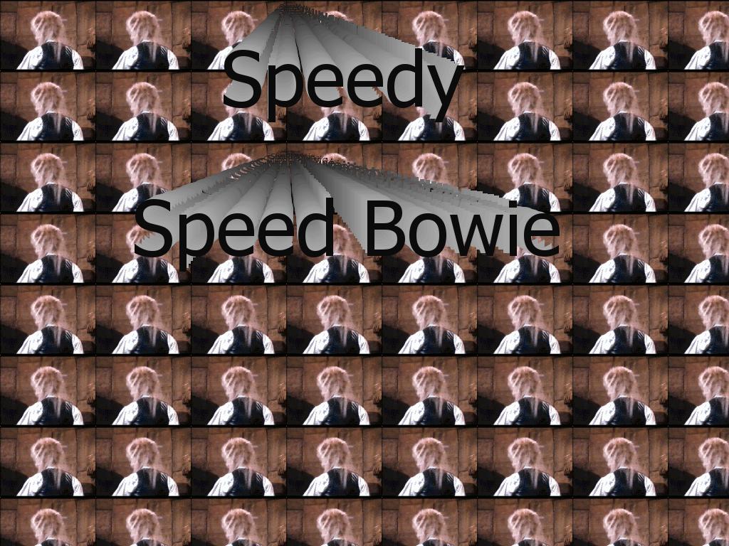 speedyspeedbowie