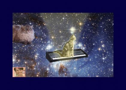Cat On Keyboard's fame is ended by.....