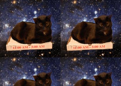Cat on a pizza box in space.