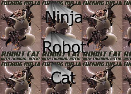 Ninja Robot Cat, now with Thunder, Bitch