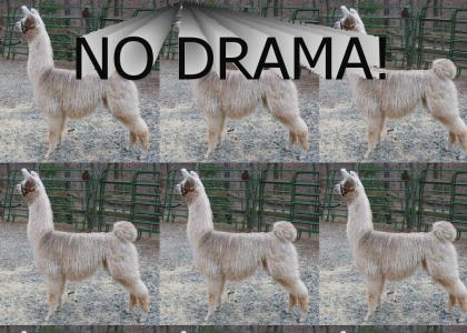Oh Noes! Drama LLama!