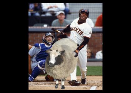 Barry Bonds