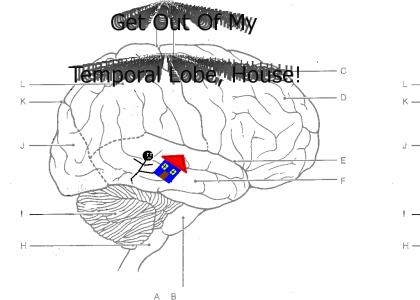Get Out Of My Temporal Lobe!