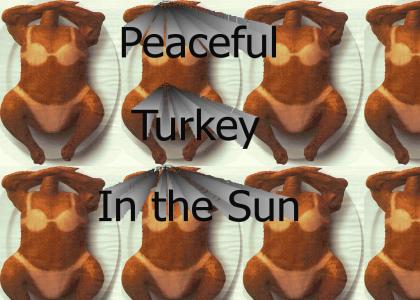 Peaceful Turkey in the sun