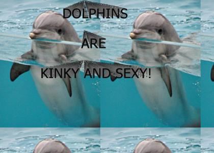Dolphins are kinky and sexy as hell
