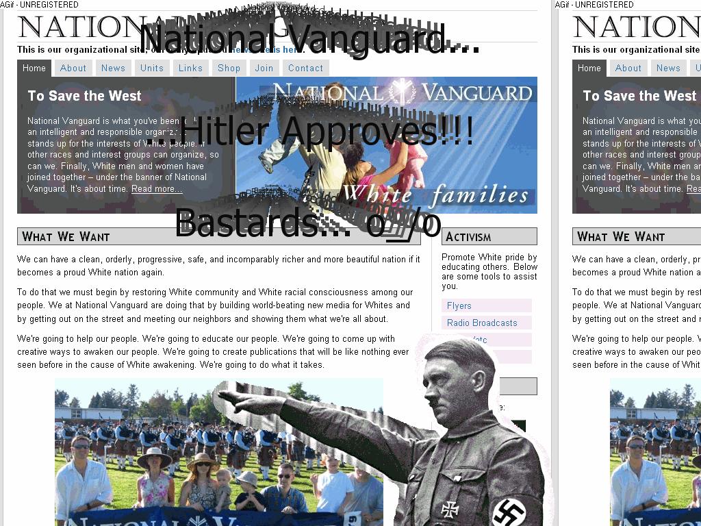 NVNazis