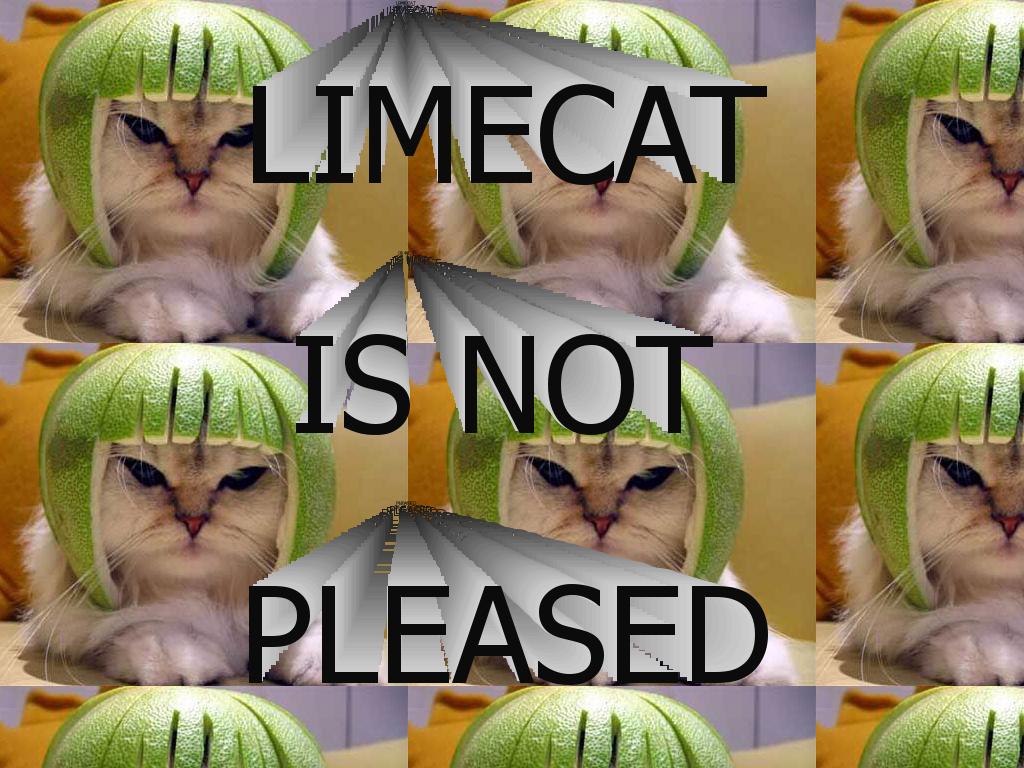 limecatisnotpleased