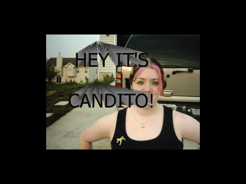 CANDITOTHEBANDITO