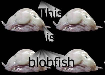 Blobfish