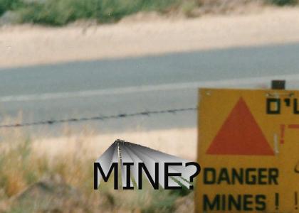 MINE BIRDS/MINEFIELD