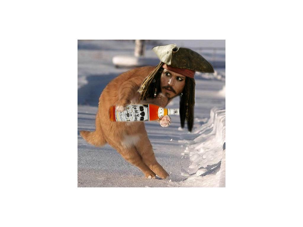 captjacksparrow