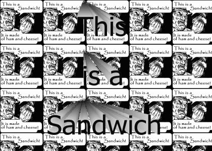THIS is a SANDWICH!