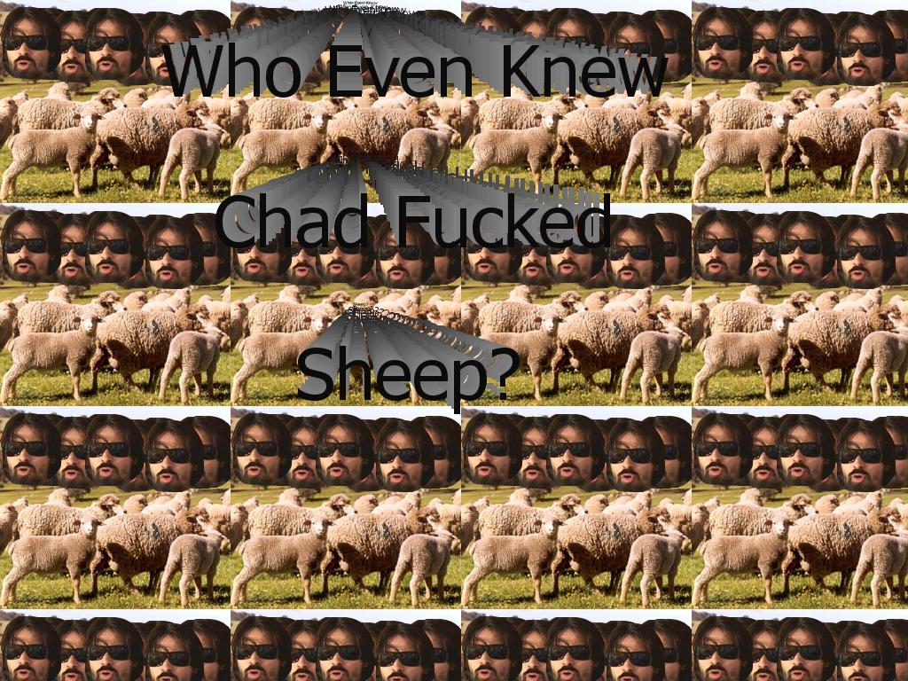 chadsheep