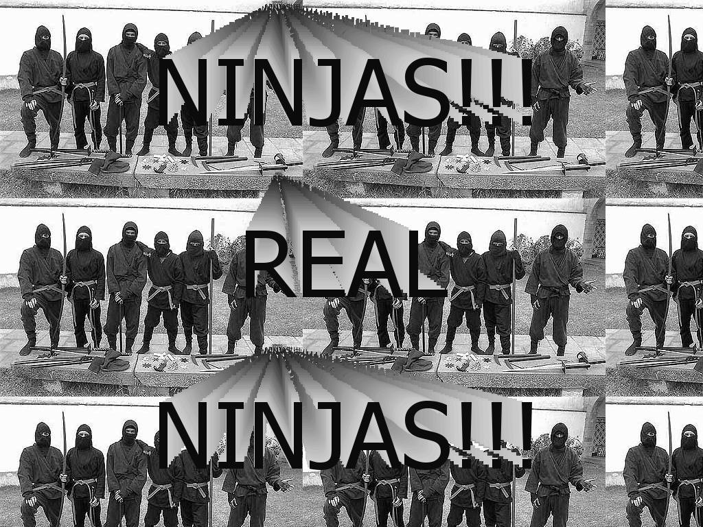 Real-Ninjas