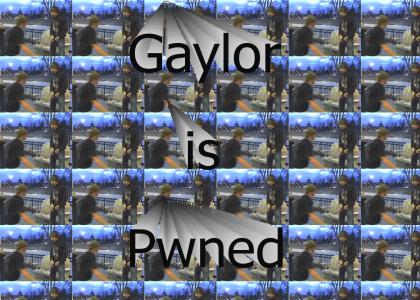 Gaylor gets owned