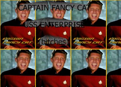 Capt Fancy Cat