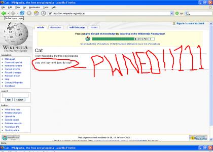 Wiki hates Cats