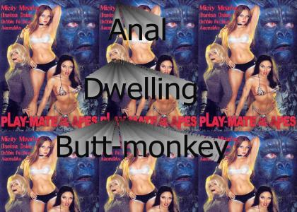 anal monkey