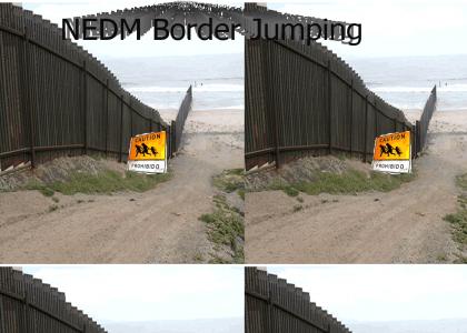 NEDM Border Jumper