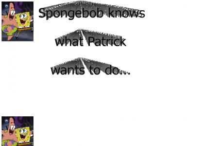Sponge and Pat are Naughty