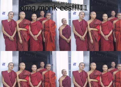 monk-ees