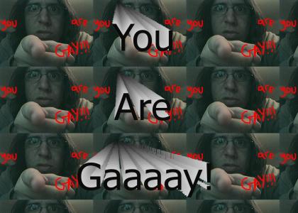 You are gay!