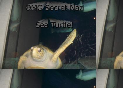 OMG Secret Nazi Sea Turtle!