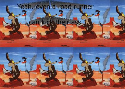 Even the road runner can kick his ass