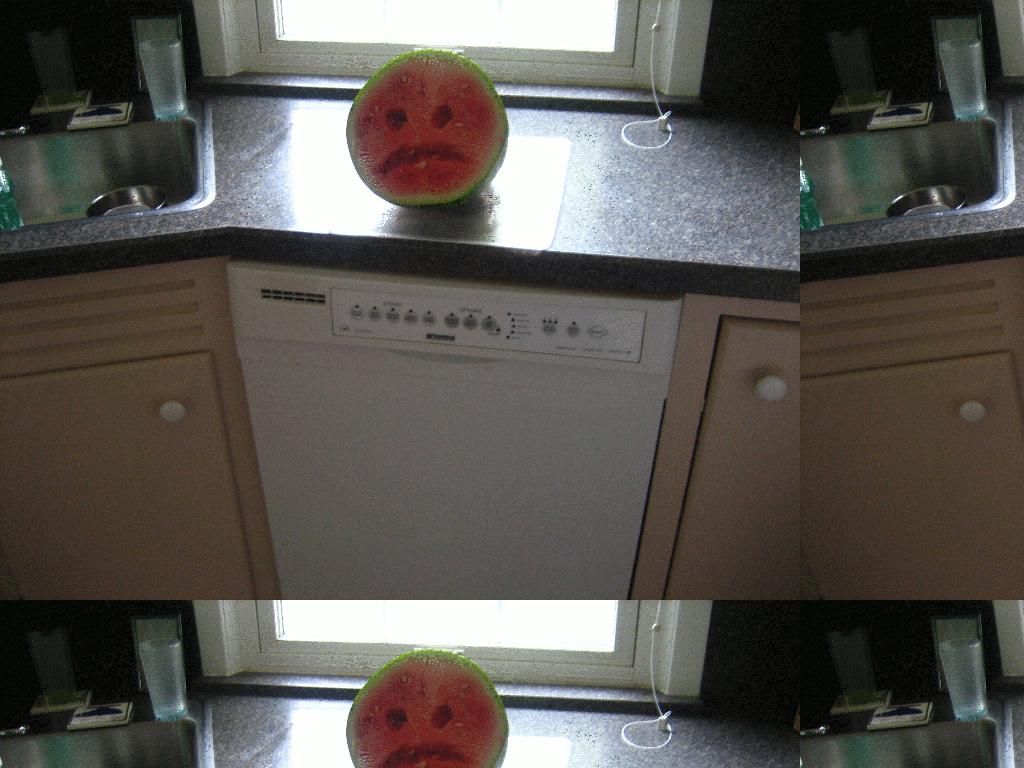 watermelonsuicide