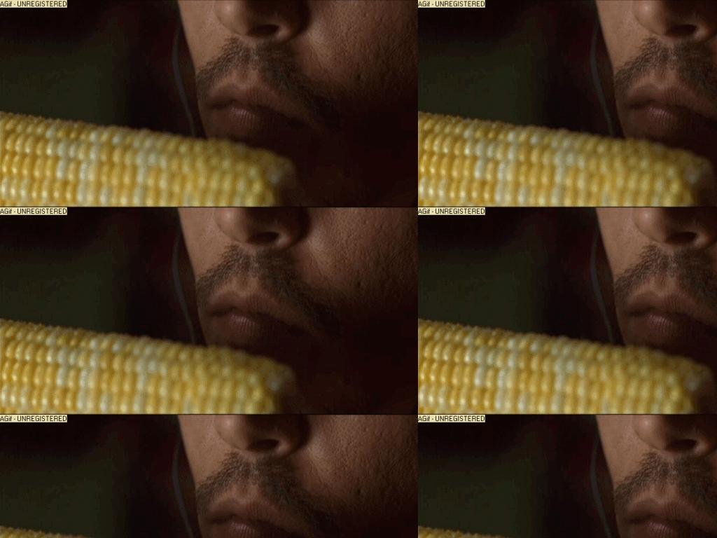 cornisnot